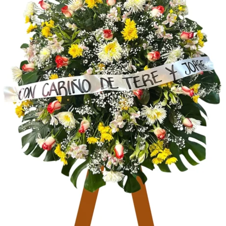 CORONA CONSUELO