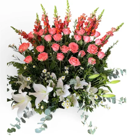 REGALO ROSA